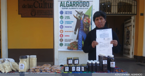 ¿EL ALGARROBO BOLIVIANO EN PELIGRO DE EXTINCIÓN? 🌳🚨 PROPONEN LEY NACIONAL PARA PROTEGER ESTE TESORO NUTRICIONAL